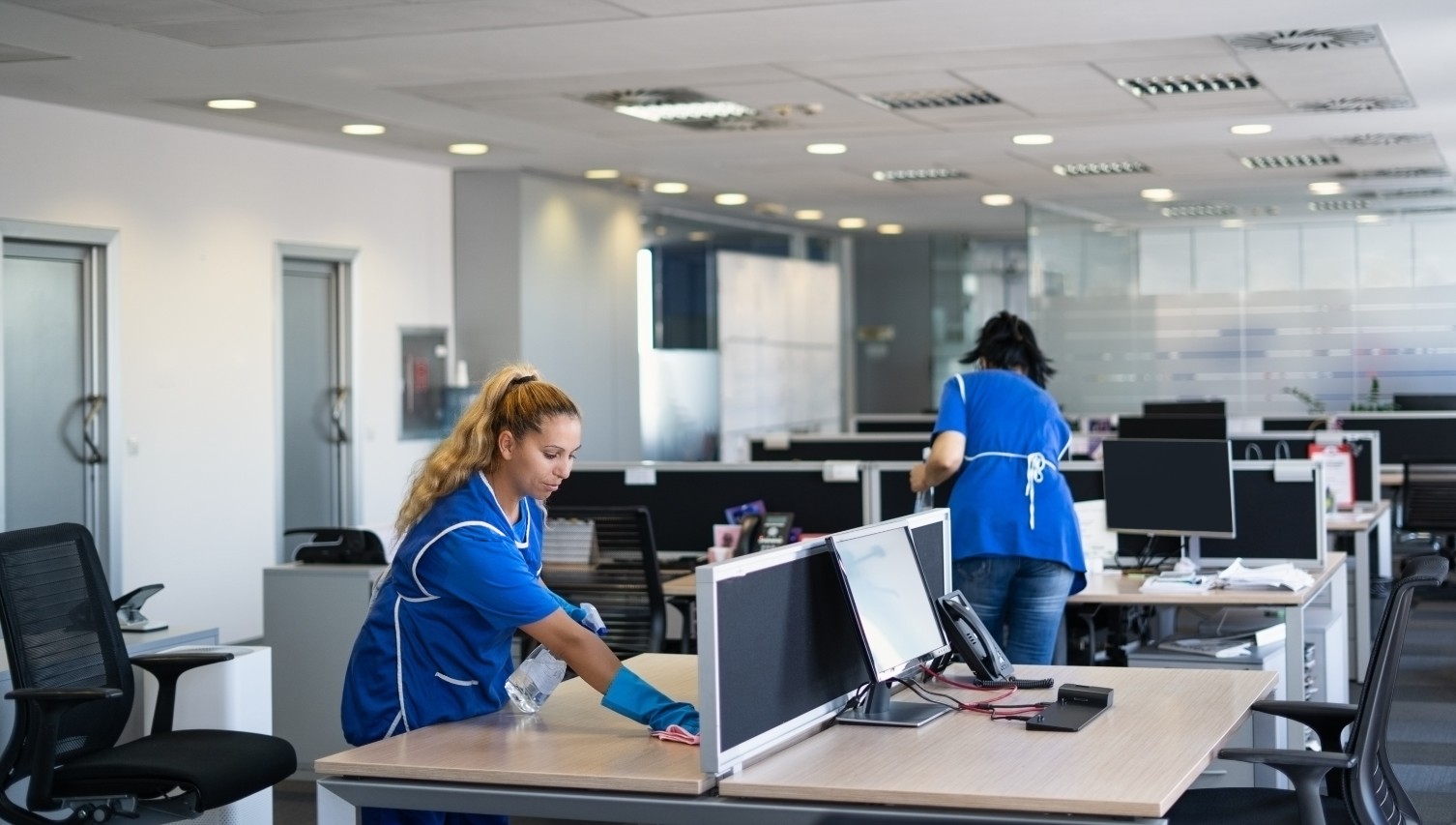 Professional cleaning services