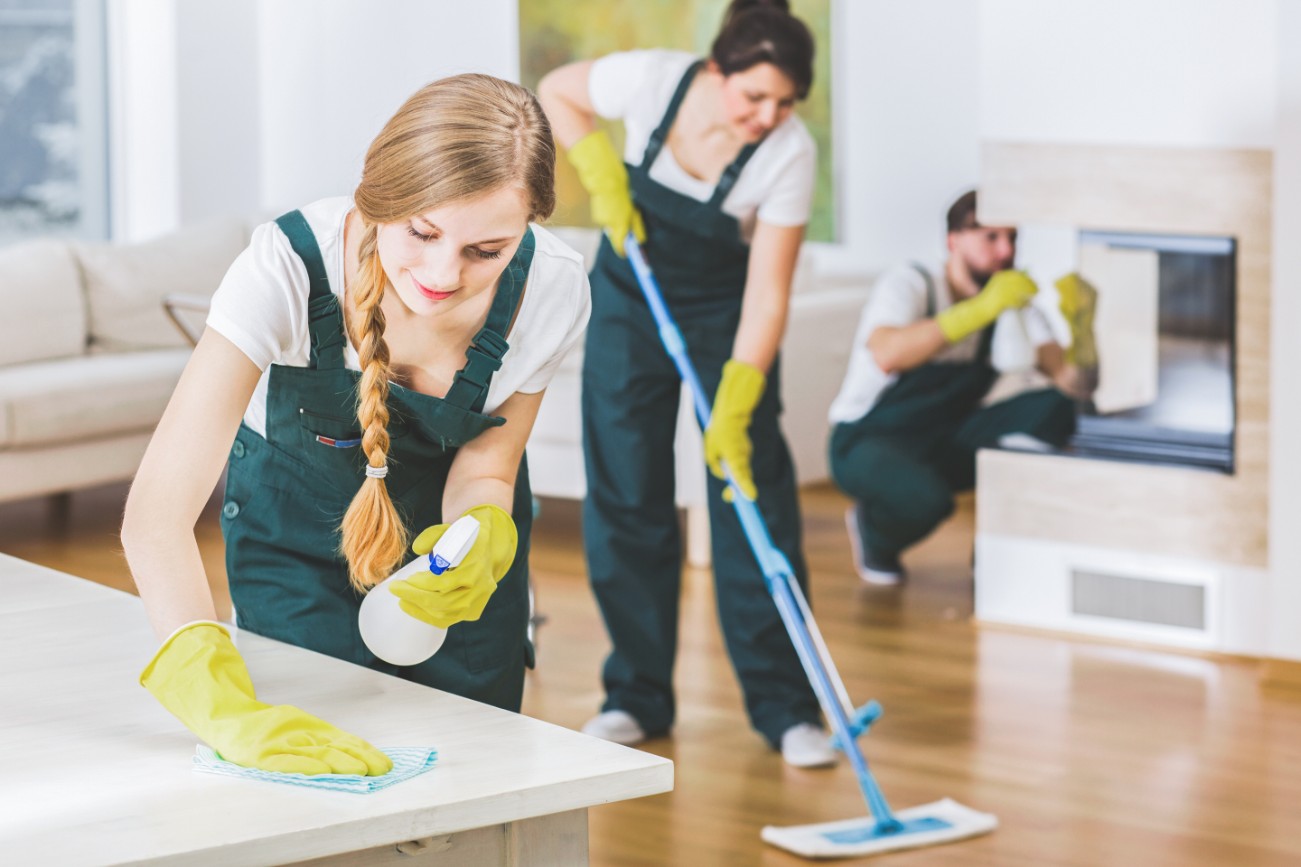 Professional Dose Cleaning team members working in a modern home setting